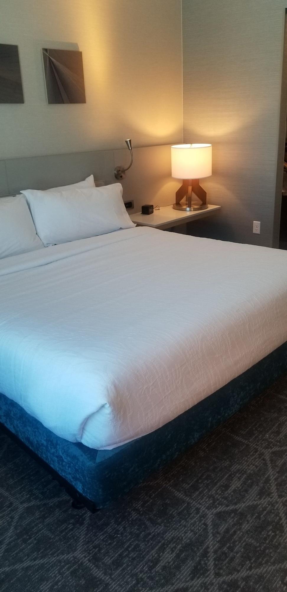 Hilton Garden Inn Colorado Springs Downtown, Co Bagian luar foto